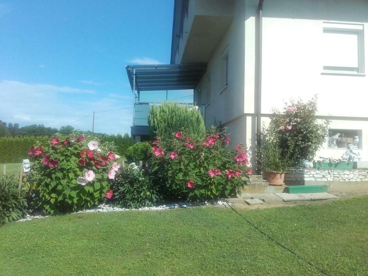 Dahoam By Fam. Franz Apartment Gamlitz Ngoại thất bức ảnh